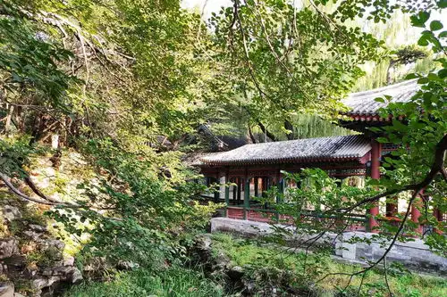 三山五园之颐和园,谐趣园湛清轩霁清轩一线不为人知的角落
