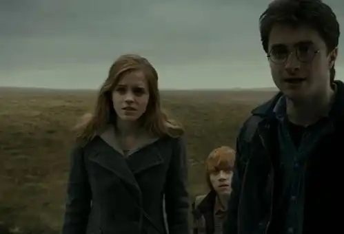 哈利波特盘点赫敏格兰杰的那些早知道
