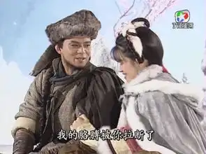 雪山飞狐剧照
