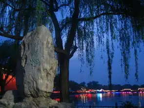 2012.4.305.6流连北京