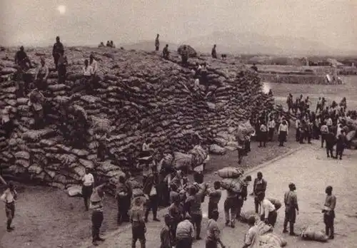 日本士兵在二战的时候什么都吃,你能想到的他们都吃
