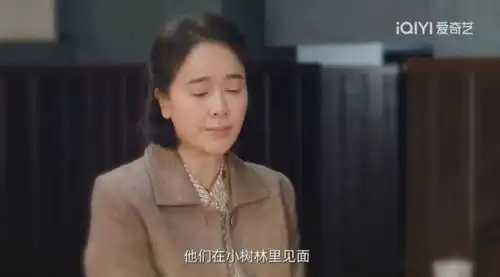 南来北往马燕汪新大婚,马魁求娶沈医生,人贩子和贾金龙将被抓
