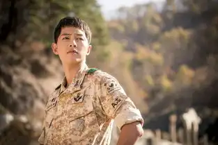 燃炸了男神收割机宋慧乔俘虏太阳的后裔