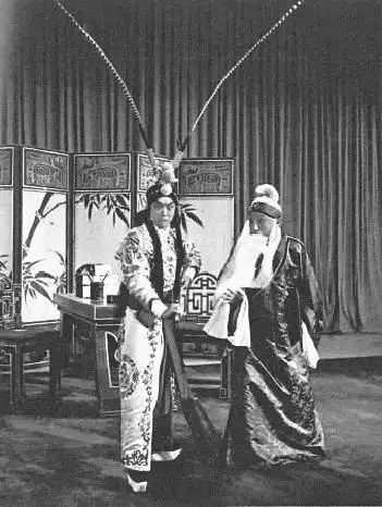 王佩瑜追忆谭元寿老先生就是无私地爱护我们年轻人