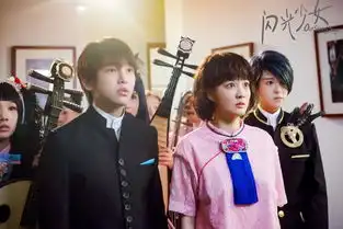 闪光少女2017年徐璐主演电影搜狗百科
