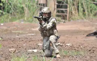 我是特种兵之火凤凰剧照
