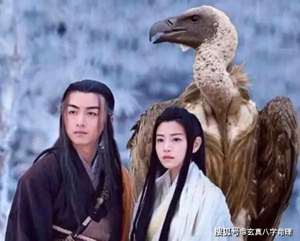 神雕中,郭芙为杨过诞下一子,后来神功大成,杀了耶律齐,成就霸业