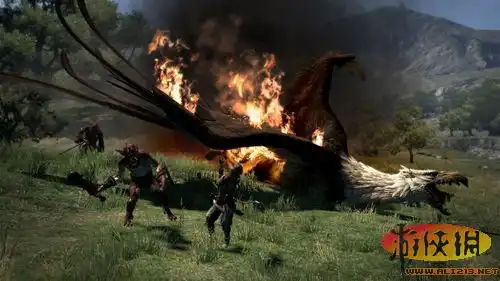 龙之信条战法猎群殴狮鹫的暴力截图

