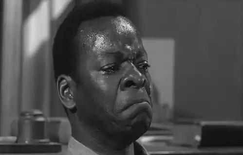 杀死一只知更鸟是一种罪恶
