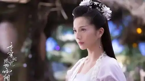 星汉灿烂月升沧海中的男神女神,你是否认出了他们
