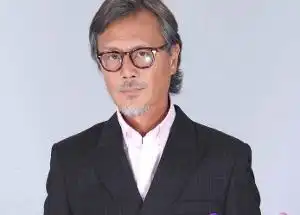 刘德凯
