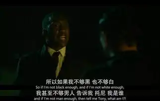 奥斯卡最佳绿皮书美国式政治正确之外,还能看到什么
