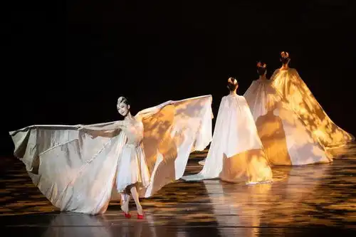 十年了,舞剧朱鹮为何常演不衰
