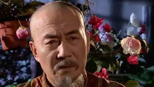 再看大宅门才发现害死白颖园的不是詹王府,而是他自己