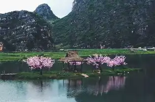 三生三世十里桃花里的仙境在我大云南
