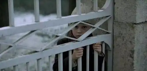 放牛班的春天池塘之底里的天籁之音
