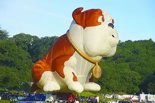 英国热气球节上演飞屋环游记
