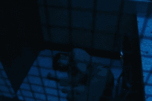 限韩令当前,珍惜w两个世界吧,这大结局你满意吗