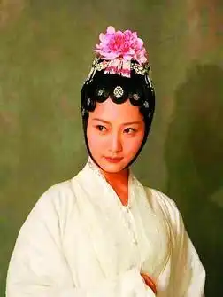 京城四美之白冰的上位往事
