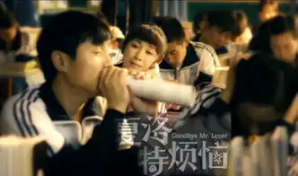 夏洛特烦恼
