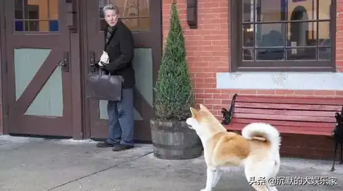 10部高分宠物电影家财万贯,不如猫狗双全