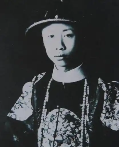 河车丸到底是什么末代皇帝溥仪临死前为何一直喊着河车丸
