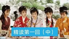 飞天蜈蚣新说红楼梦第一回