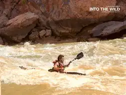 20090602fb999cb1ef67e5c07fb4thxq84knpea
