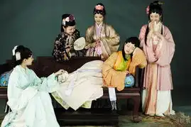 新版红楼梦定妆照
