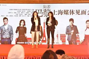 张翰新剧如若巴黎不快乐见面会
