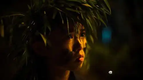 这个夏天,电影与足球都必不可少