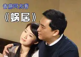 系列青藤网友看蜗居青藤网友青藤文学