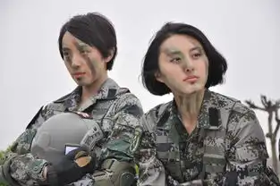 我是特种兵之火凤凰剧照