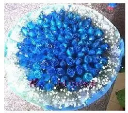 杞县网上花店商品内容花材99枝蓝玫瑰国产蓝色妖姬品种,幸福草或高山积雪外围包装多层绵纸皱纹纸原形花束包装,紫色丝带束扎
