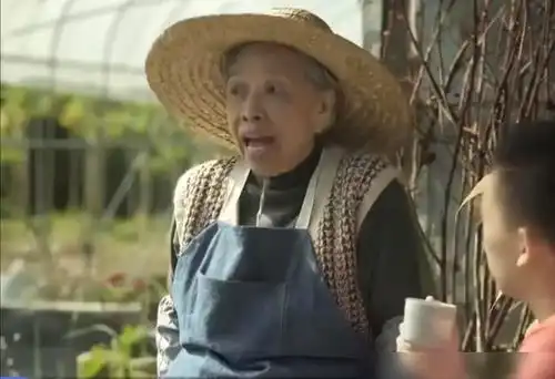 香港甘草演员陈丽云,幼儿园学历却编剧过百,并拿下金像最佳女配