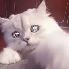 表情包最新斗图表情包,聊天必备
