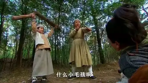 精忠岳飞张用看到打他的是岳云,便没有跟他计较了