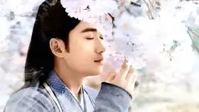 罗浮生个人向混剪
