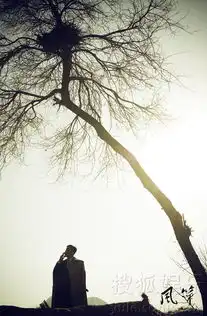 风筝曝精美剧照柳云龙演特工命运横跨30年