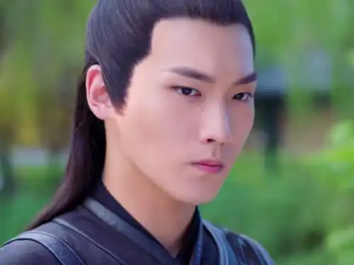 看完双世宠妃主演学历,才知运气有多重要,邢昭林是怎么火的