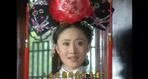 我为什么总是转型失败因为还珠格格又重播了
