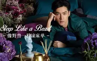 休息的这段时间,胡歌到底拍了多少支广告
