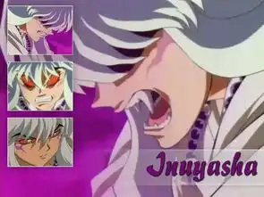 这是犬夜叉第几集