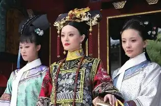 甄嬛传海外遇冷水土不服网友假消息
