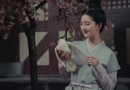 赵露思晒海边繁花写真,整个人皮肤白到发光,笑容灿烂又治愈
