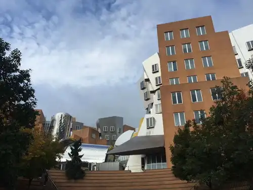 美国留学生活,这些软技能你具备吗
