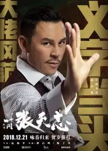 叶问外传张天志全角色海报柳岩托尼贾上演最强功夫
