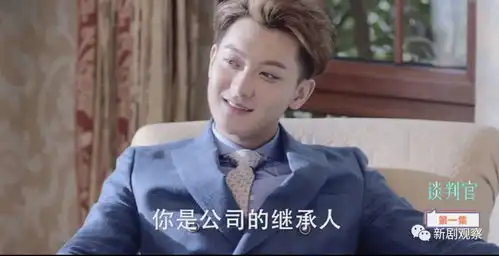 谈判官售价约2.9亿,华策能凭这个剧赚1.3亿