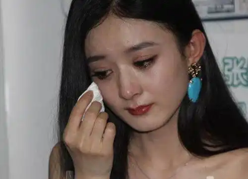 赵丽颖个人资料曝光整容为钱出卖身体曾做外围女
