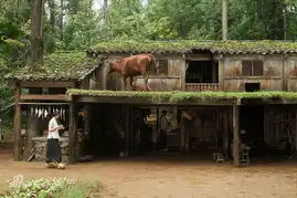 盘点武侠七大精彩瞬间